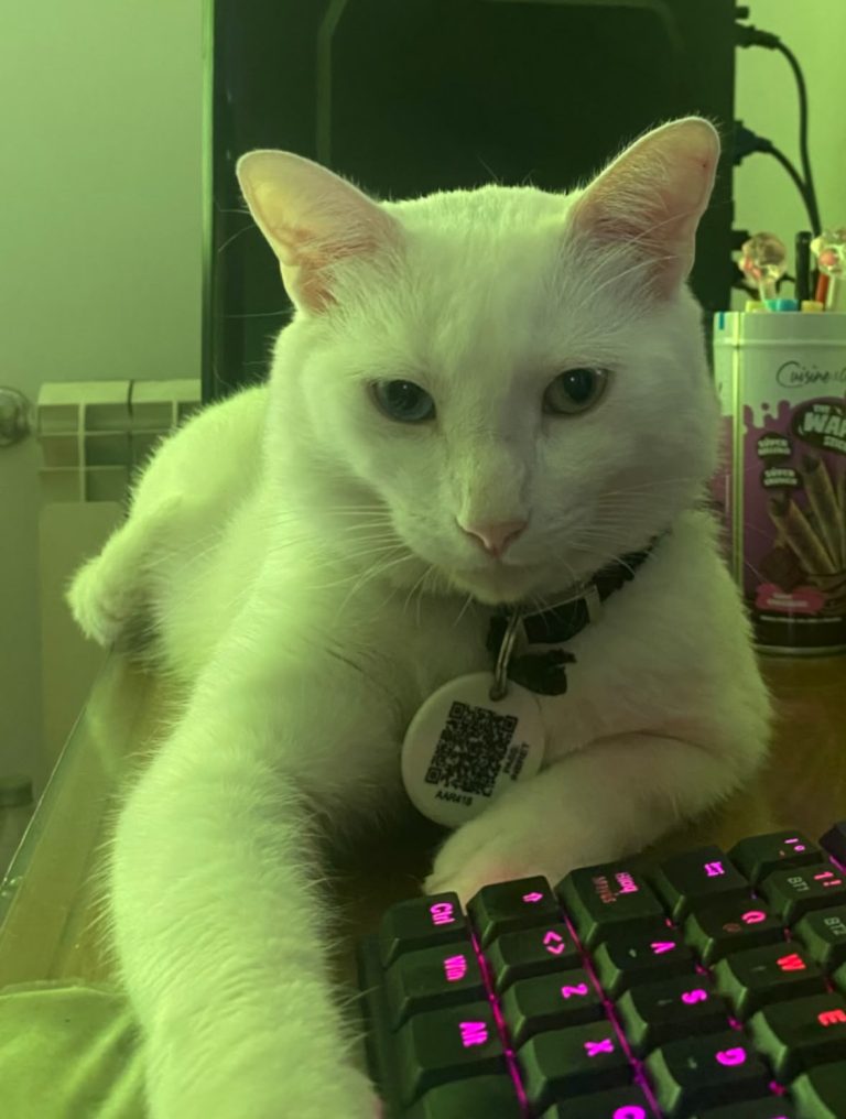Rengar, paciente de Mutual Vet